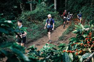 BIB: 
                            <button type="button" onclick="openModal(25833203)" class="btn btn-primary btn-sm float-right btn-popup" data-toggle="modal" data-target=".modal-high-quality">
                        <i class="fas fa-shopping-cart"></i> Add to Cart
                    </button>
                                            <button type="button" onclick="isThisMe(25833203, true)" class="btn btn-success btn-sm float-right btn-popup btn-isme hidden" data-toggle="tooltip" data-placement="bottom" title="นี่คือรูปของคุณใช่ไหม คลิกที่นี่เพื่อเอาเข้าอัลบั้ม">
                        <i class="fas fa-plus"></i> Add to album
                    </button>
                    <button type="button" onclick="isThisMe(25833203, false)" class="btn btn-warning btn-sm float-right btn-popup btn-isnotme hidden">
                        <i class="fas fa-ban"></i> Remove from album
                    </button>